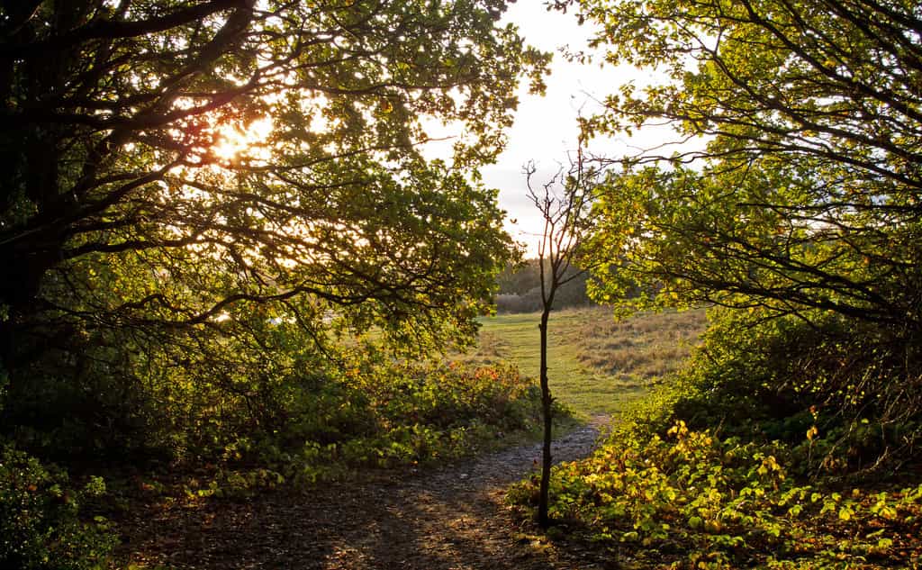 Havering, London