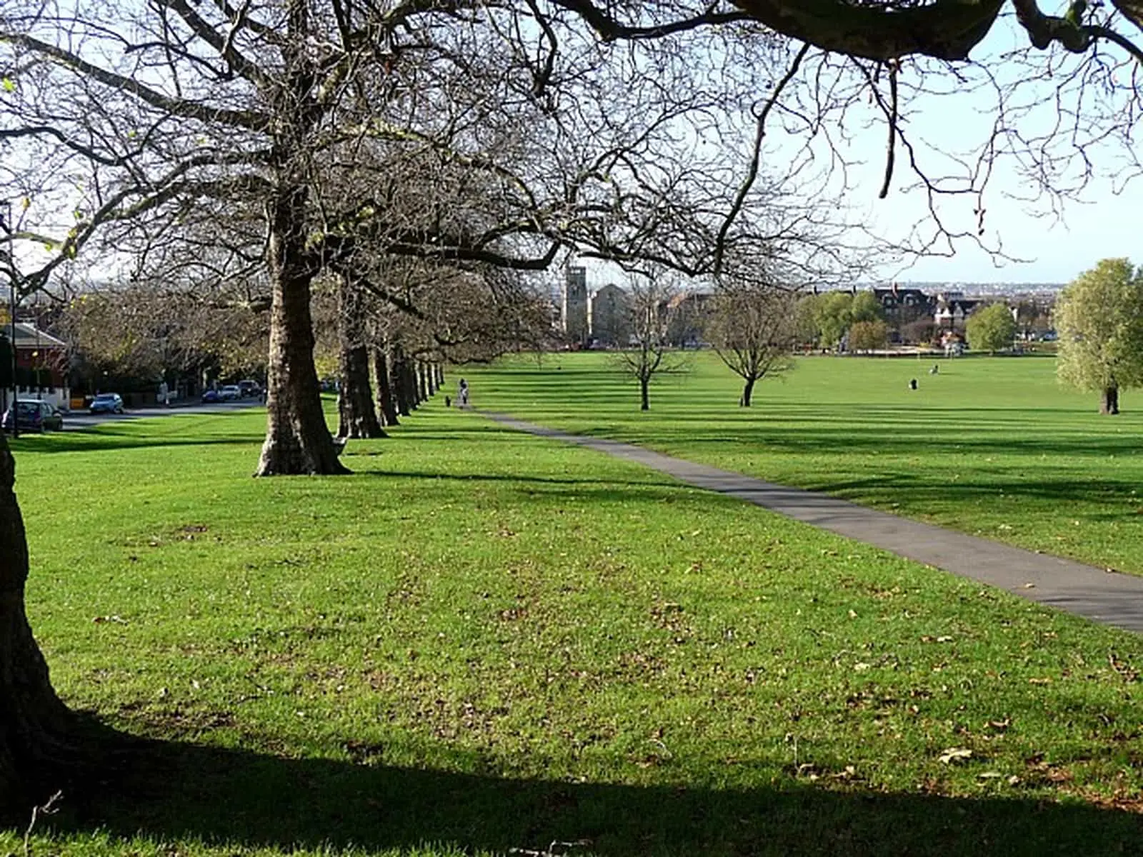 The avenue of mature trees and main path across Streatham Common in late autumn, with a church tower visible in the distance
